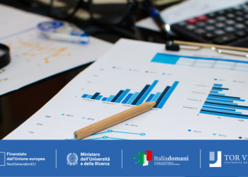 Methodological and Computational Challenges in Large-Scale Time Series Models for Economics and Finance