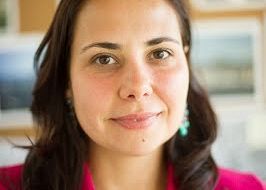 Riccardo Faini CEIS Webinars Silvia Barcellos (University of South California)